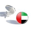 UAE Flag Designed Stud Earrings For Sale