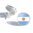 Argentina Flag Designed Stud Earrings Discount