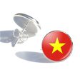 vietnam Flag Designed Stud Earrings Online Sale