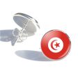 Tunisia Flag Designed Stud Earrings Online Hot Sale